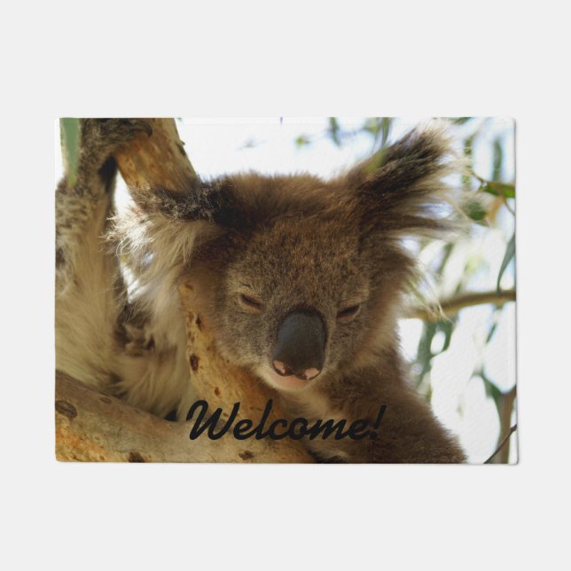 Wild koala sleeping on eucalyptus tree, Photo Doormat (Front)