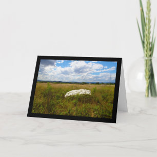 Wild Lace in the Meadow Card