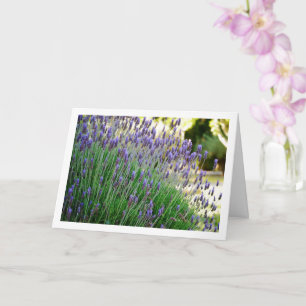 Wild Lavender Portrait Card