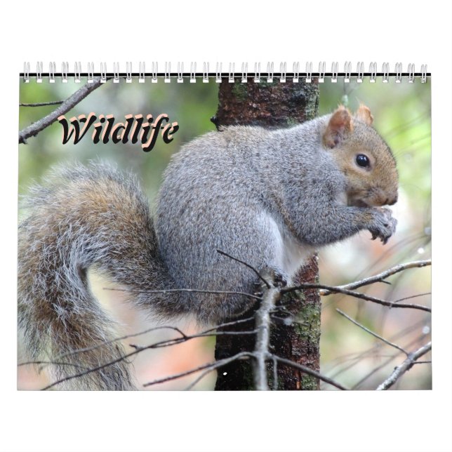 Wild Life Calendar (Cover)