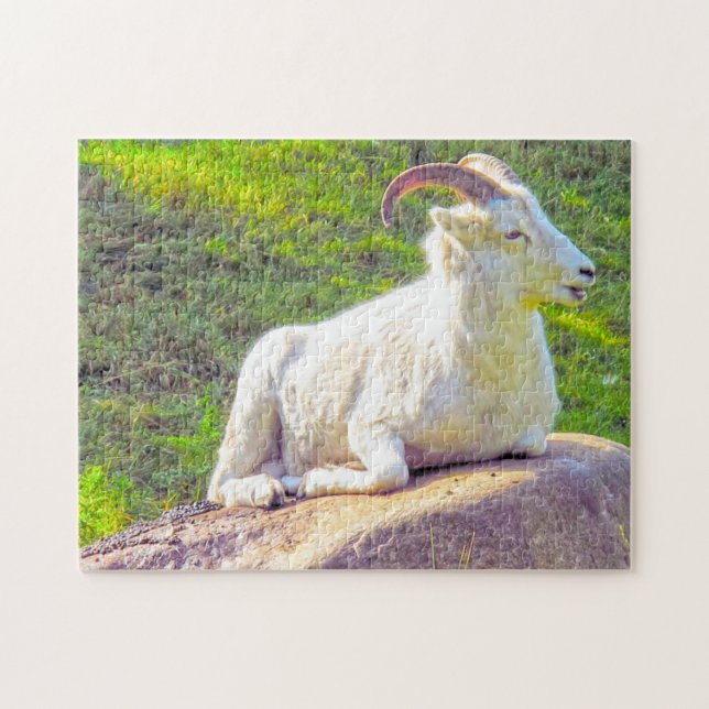 Wild Life Canada. Big Horn Sheep. Jigsaw Puzzle (Horizontal)