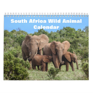 Wild Life of South Africa 2027 Calendar