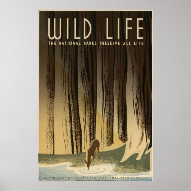 Wild Life Poster (Front)