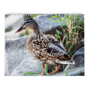 Wild Life Wall Calendar - HAMbWG