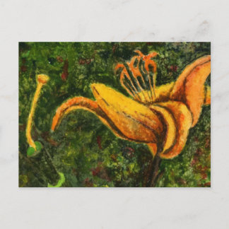 "Wild Lily" Floral Postcard