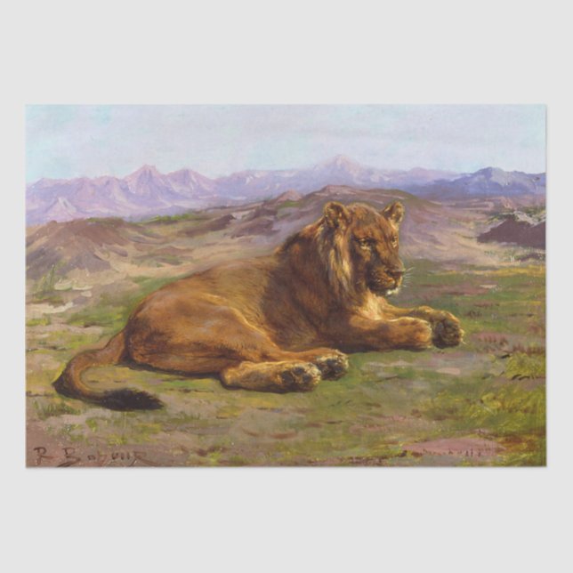 Wild Lion in an African Safari Landscape Tissue Paper (Front)