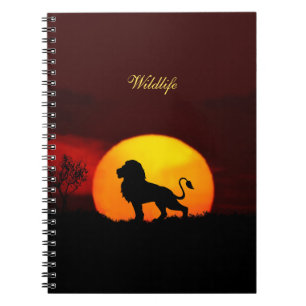 Wild lion, sunrise & calligraphy on a jungle notebook