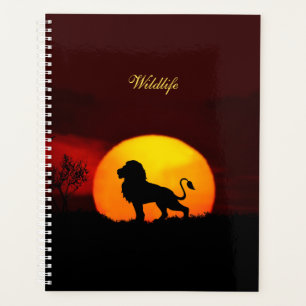 Wild lion, sunrise & calligraphy on a jungle planner