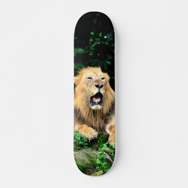 Wild Lion Yawning Skateboard (Front)