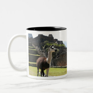 Wild Llama Near Ruins Two-Tone Coffee Mug