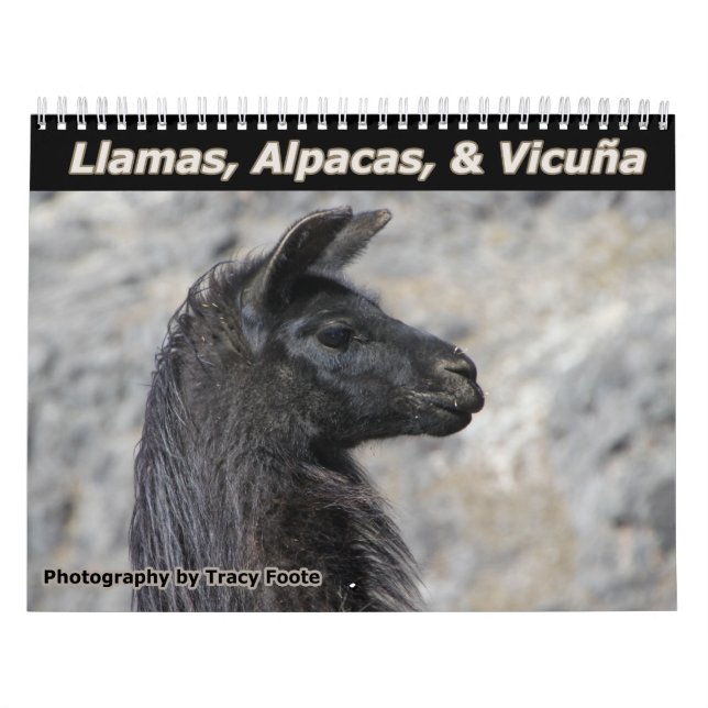 Wild Llamas and Alpacas Calendar (Cover)