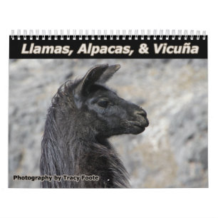 Wild Llamas and Alpacas Calendar