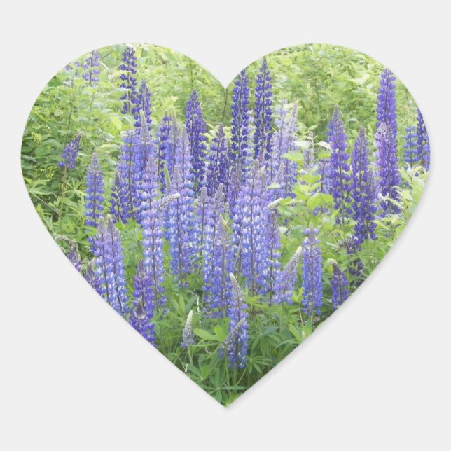Wild Lupine Heart Sticker (Front)