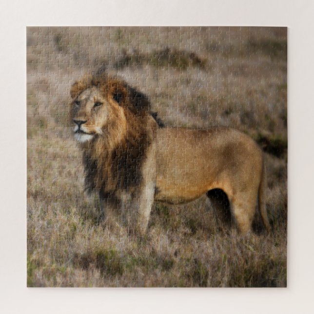 Wild Male African Lion Jigsaw Puzzle (Vertical)