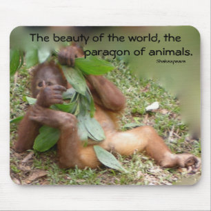 Wild Man of Borneo Orangutan Mouse Pad