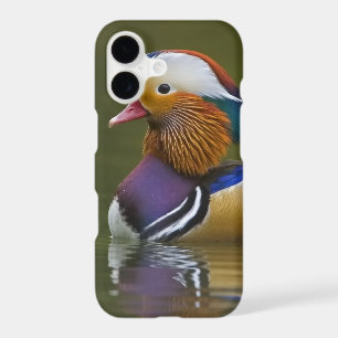 Wild Mandarin Duck Aix galericulata) on dark