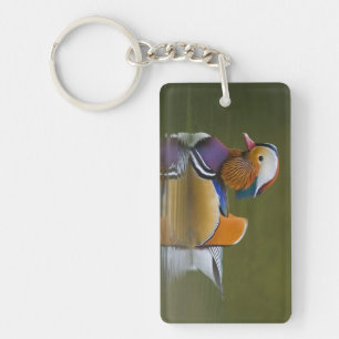 Wild Mandarin Duck Aix galericulata) on dark Key Ring