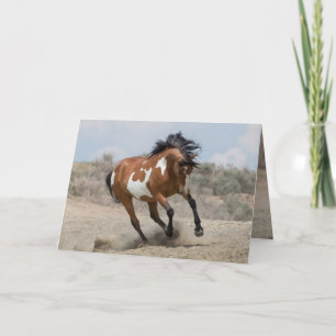 Wild Mare Runs Greeting Card