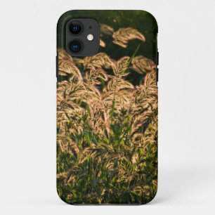 Wild Millet (Panicum Sp.) Growing In Wetland iPhone 11 Case