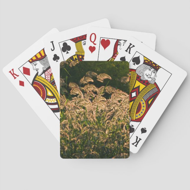 Wild Millet (Panicum Sp.) Growing In Wetland Playing Cards (Back)