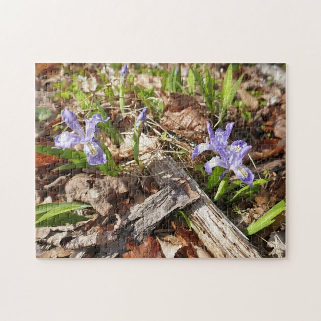Wild Miniature Irises Jigsaw Puzzle (Horizontal)