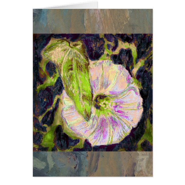 Wild Morning Glory by Alexandra Cook (Front)