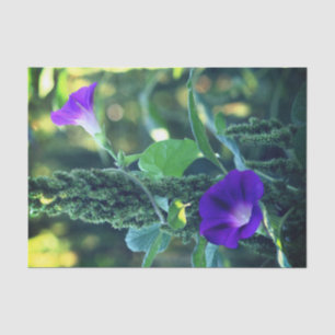 Wild Morning Glory Flowers Decoupage  Tissue Paper