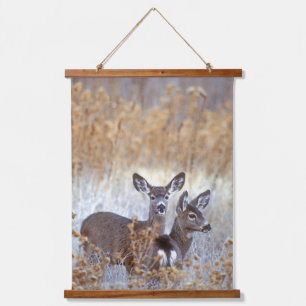 Wild Mule Deer Pair   California Hanging Tapestry