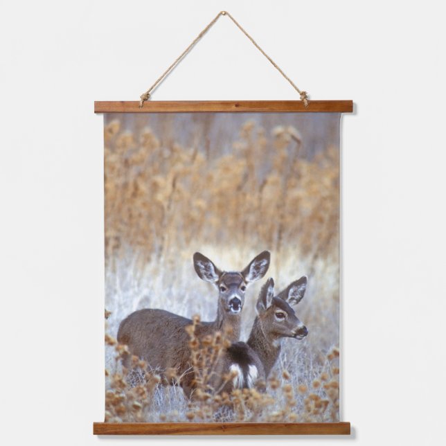 Wild Mule Deer Pair | California Hanging Tapestry (Front)
