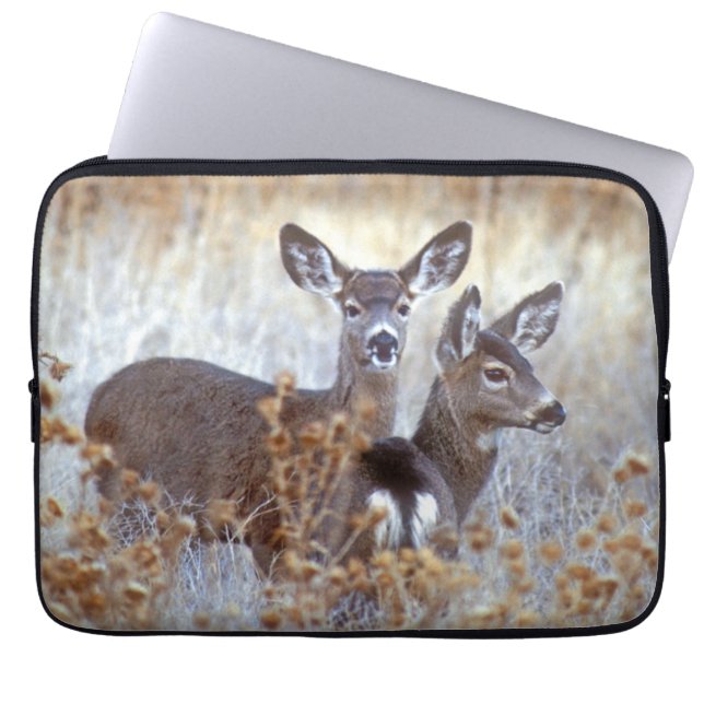 Wild Mule Deer Pair | California Laptop Sleeve (Front)