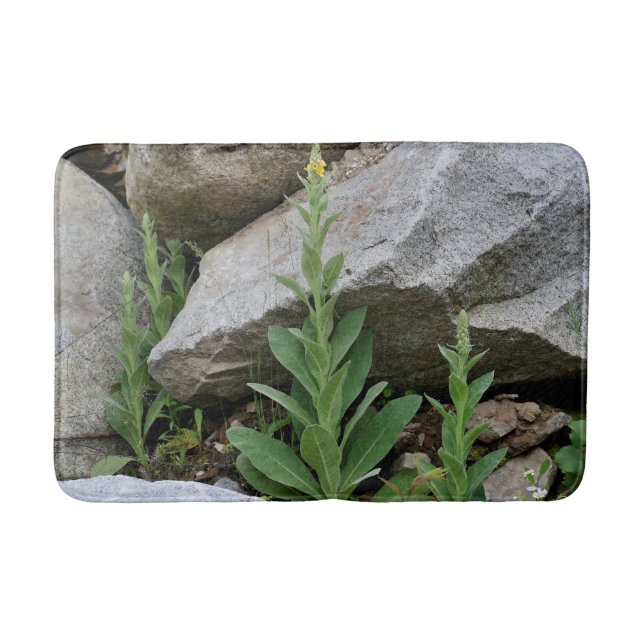 Wild Mullein Flowers Among Rocks   Bath Mat (Front)