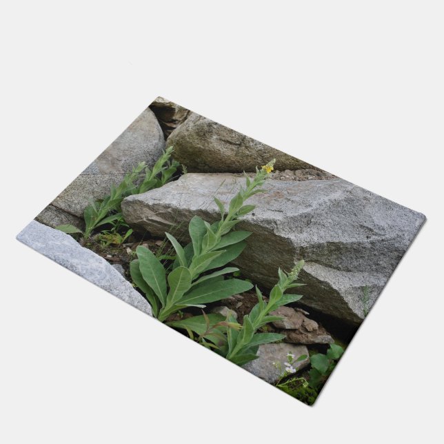 Wild Mullein Flowers Among Rocks  Doormat (Angled)