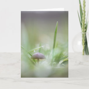 Wild Mushroom nature photo Card