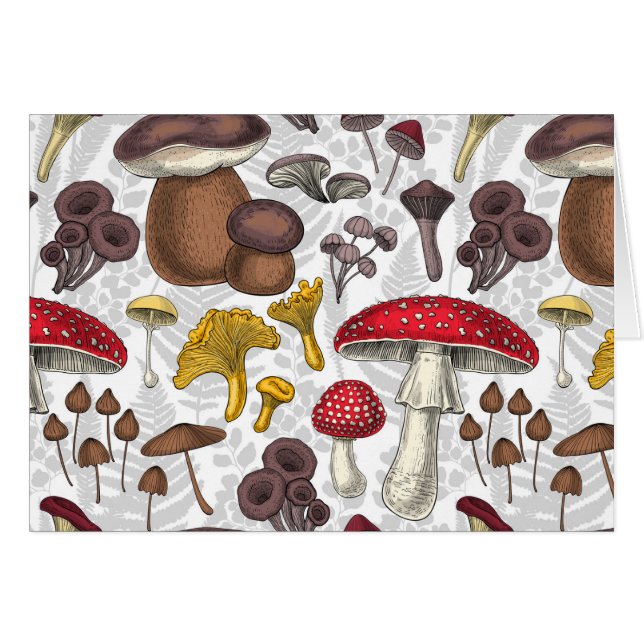 Wild mushrooms (Front Horizontal)
