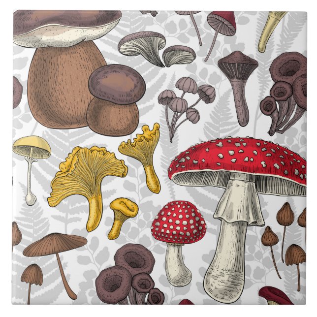 Wild mushrooms ceramic tile (Front)