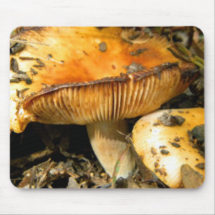 Wild Mushrooms Mousepad