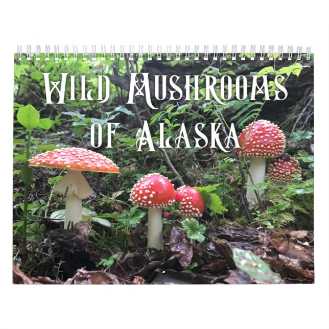 Wild Mushrooms of Alaska - Medium Calendar (Cover)