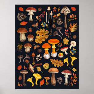 Wild mushrooms on black poster
