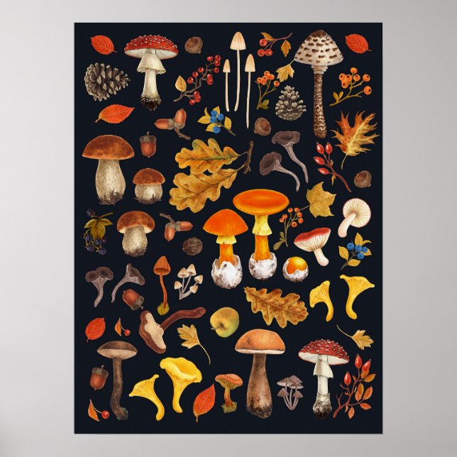 Wild mushrooms on black poster (Front)