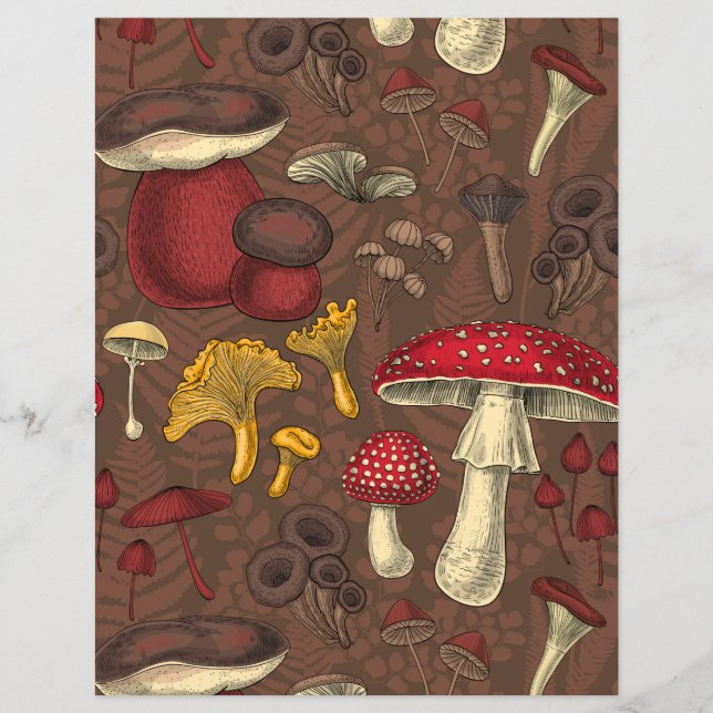 Wild mushrooms on brown (Front)