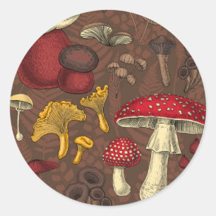 Wild mushrooms on brown classic round sticker