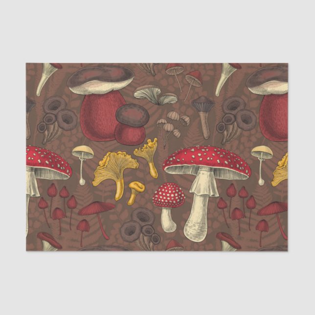 Wild mushrooms on brown tissue paper (Front)