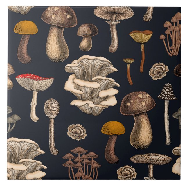 Wild Mushrooms  on graphite black Ceramic Tile (Front)