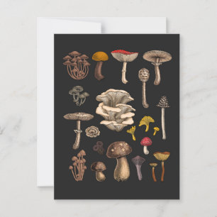 Wild Mushrooms  on graphite black Postcard