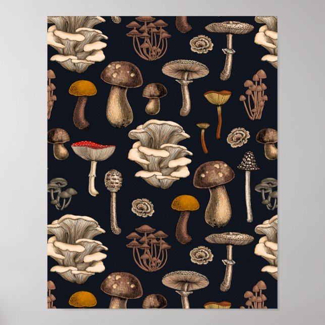 Wild Mushrooms  on graphite black Poster (Front)
