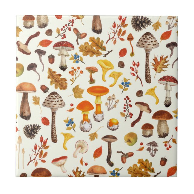 Wild mushrooms on off white ceramic tile (Front)