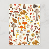 Wild mushrooms on off white