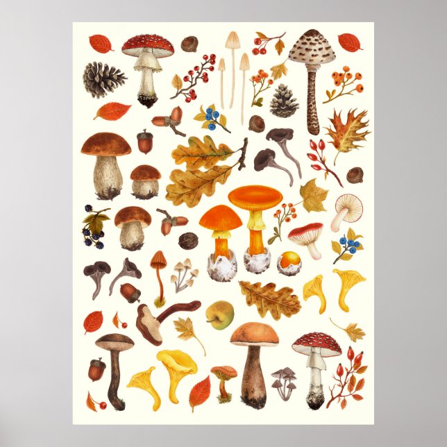 Wild mushrooms on off white poster (Front)