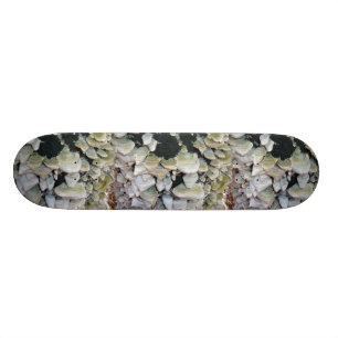 Wild Mushrooms Skateboard