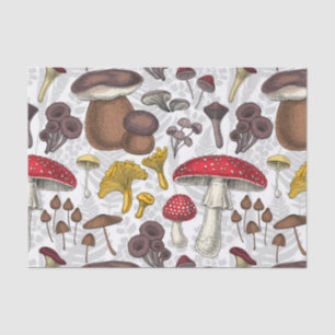 Wild mushrooms tissue paper